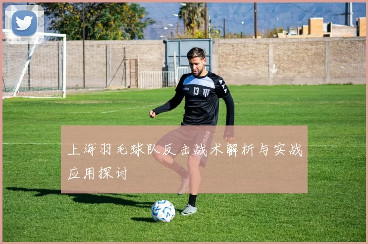 上海羽毛球队反击战术解析与实战应用探讨