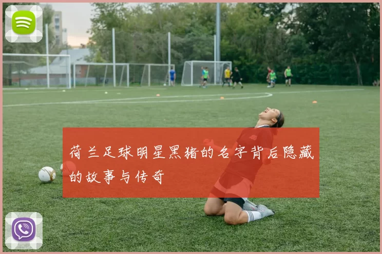 荷兰足球明星黑猪的名字背后隐藏的故事与传奇