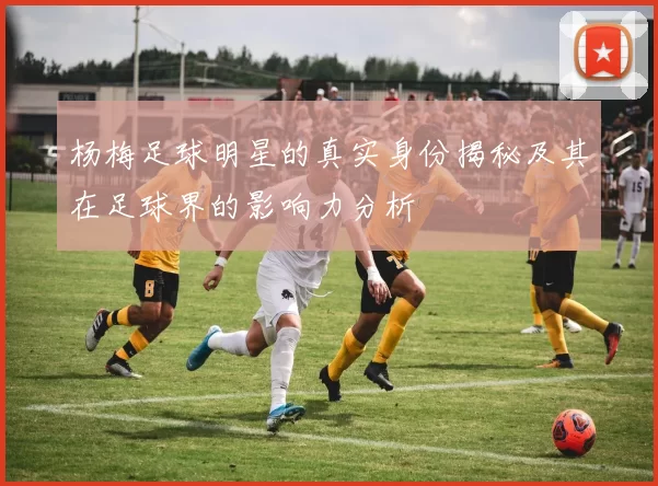杨梅足球明星的真实身份揭秘及其在足球界的影响力分析