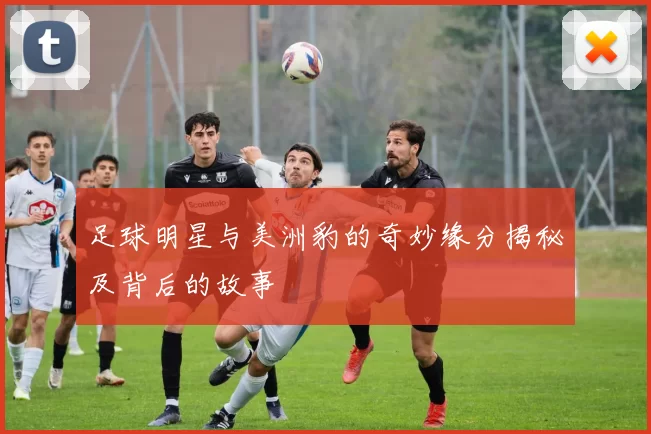 足球明星与美洲豹的奇妙缘分揭秘及背后的故事