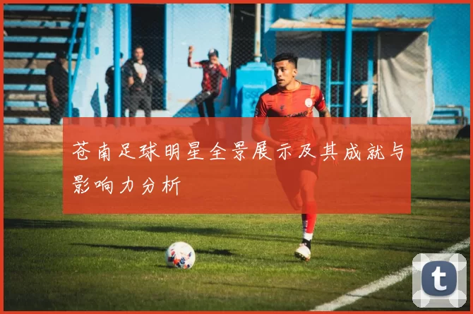 苍南足球明星全景展示及其成就与影响力分析