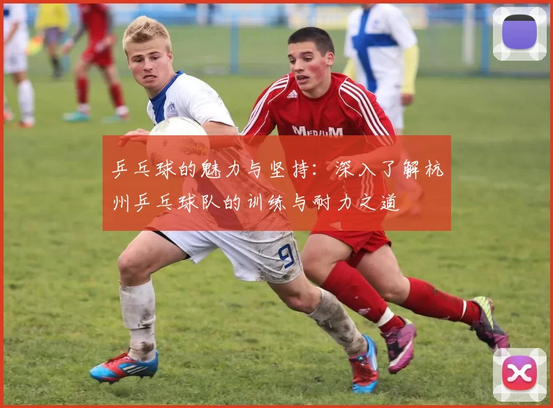 乒乓球的魅力与坚持：深入了解杭州乒乓球队的训练与耐力之道