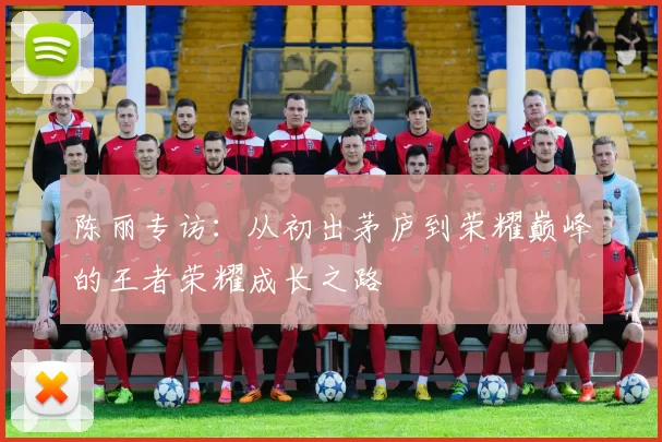 陈丽专访：从初出茅庐到荣耀巅峰的王者荣耀成长之路