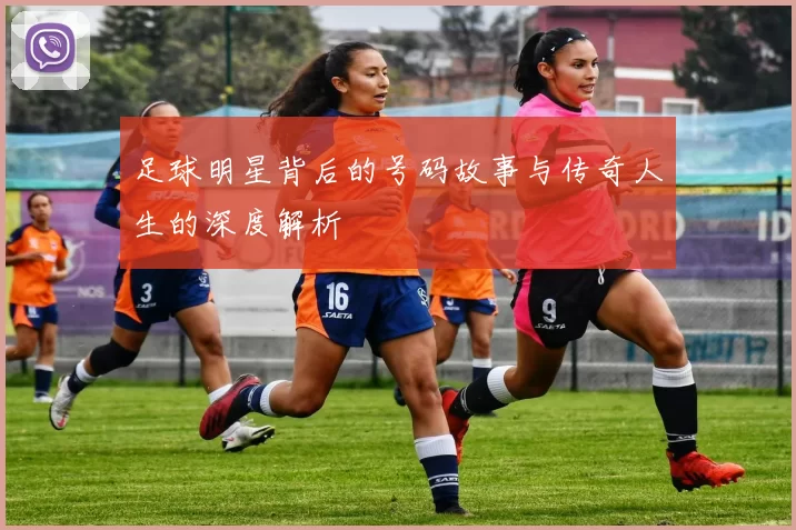 足球明星背后的号码故事与传奇人生的深度解析