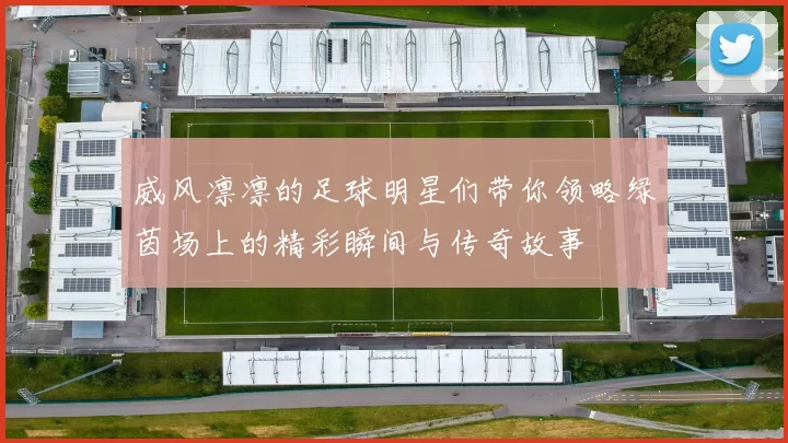 威风凛凛的足球明星们带你领略绿茵场上的精彩瞬间与传奇故事