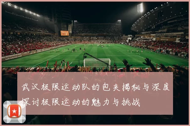 武汉极限运动队的包夹揭秘与深度探讨极限运动的魅力与挑战