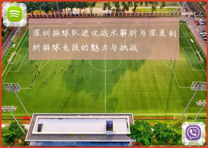 深圳排球队进攻战术解析与深度剖析排球竞技的魅力与挑战