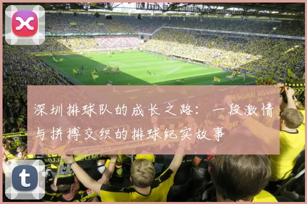 深圳排球队的成长之路：一段激情与拼搏交织的排球纪实故事