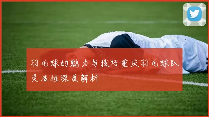 羽毛球的魅力与技巧重庆羽毛球队灵活性深度解析