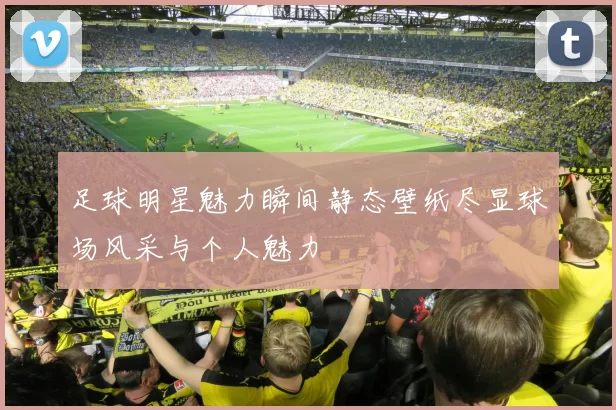 足球明星魅力瞬间静态壁纸尽显球场风采与个人魅力
