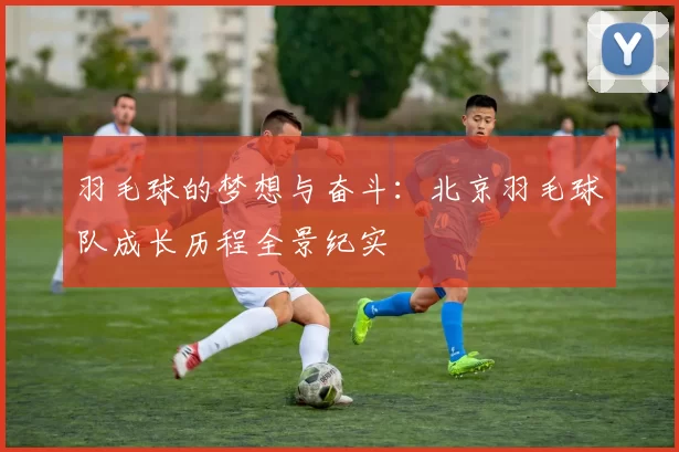 羽毛球的梦想与奋斗：北京羽毛球队成长历程全景纪实